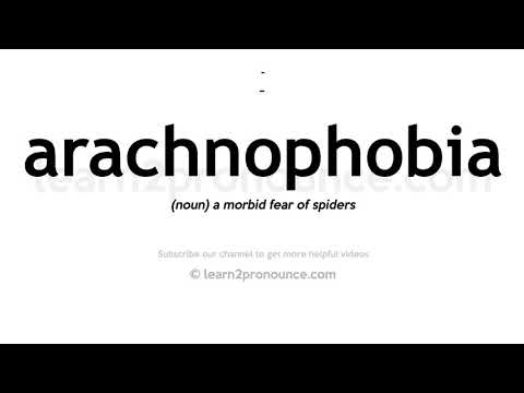 Video: Hvad Er Arachnophobia