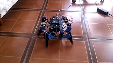 Robot Hexapodo con 12 Servo Motores