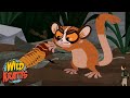 Wildlife Adventure Quiz