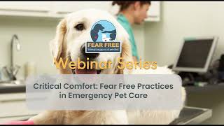 Critical Comfort: Fear Free Practices in Emergency Pet Care