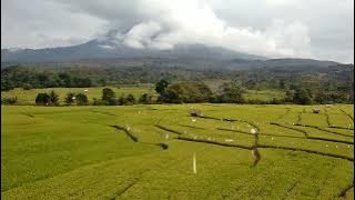 Cinematic Sawah | Cinematic 30 detik | Cinematic Aesthetic | Cinematic Drone SJRC F11S PRO 4K