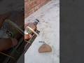 775 dc motor power test #shorts