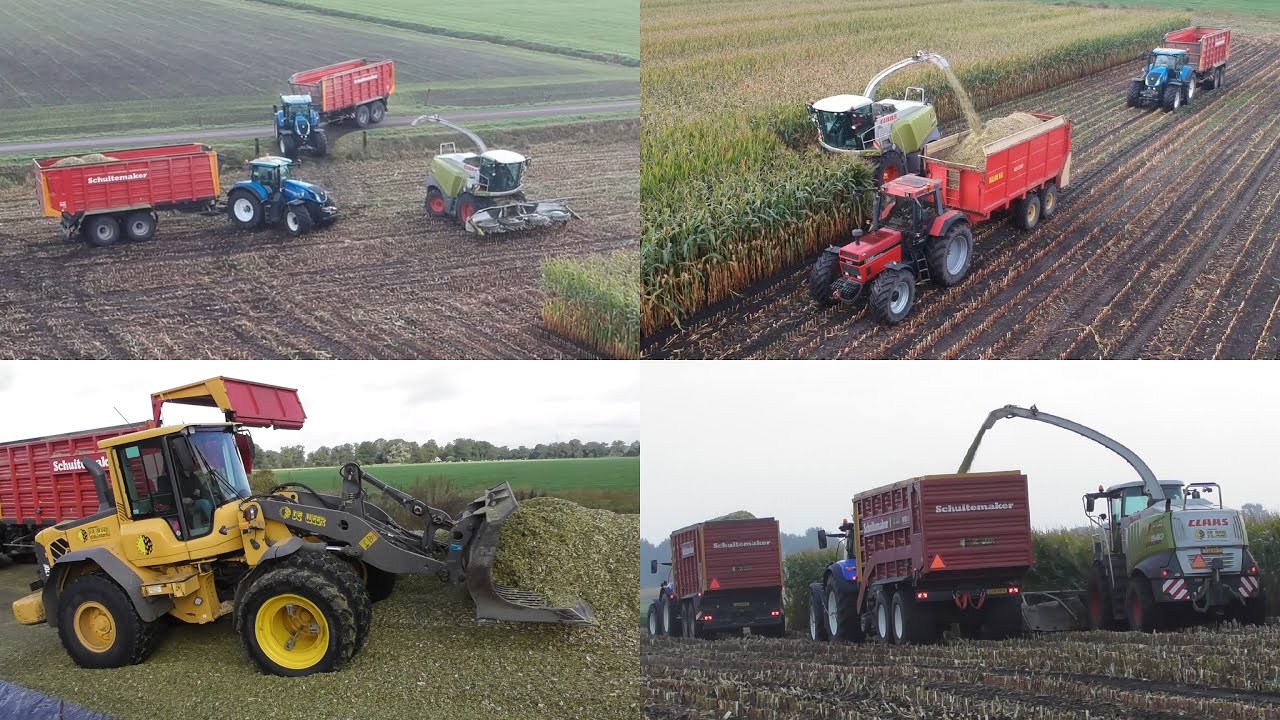 De Weer chopping corn