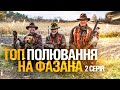 ТОП ПОЛЮВАННЯ НА ФАЗАНА З СОБАКАМИ 2021. ТАКОГО ВИ ЩЕ НЕ БАЧИЛИ. ЧАСТИНА - 2