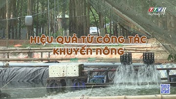 Hiệu quả từ công tác khuyến nông | NÔNG NGHIỆP TÂY NINH | TayNinhTV
