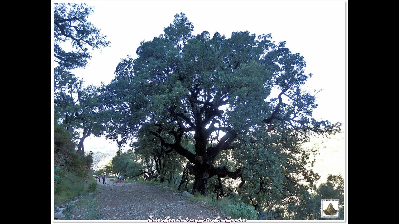 *CHOVAR-BARRANCO DE AJUEZ-PRCV 138*