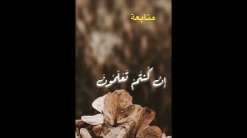 #قرآن #قران_كريم #quran #سورة #الشيخ #المنشاوي