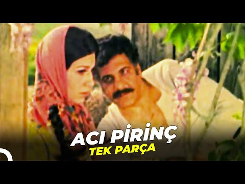 Acı Pirinç | Erol Taş Eski Türk Filmi Full İzle