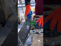 Тест ножа на пределе ! Проверил твердость стали номер один !