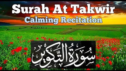 Surah At Takwir سورة التكوير - Zain Abu Kautsar With Arabic Text...
