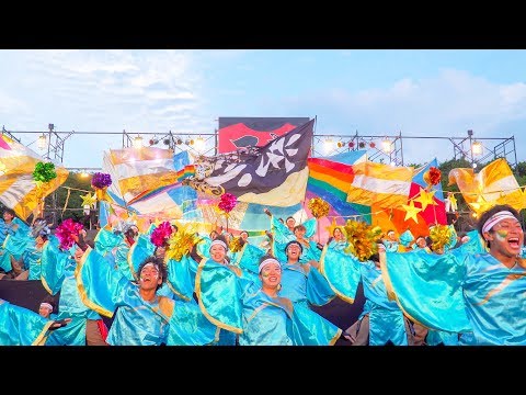 [4K]近畿大学よさこい連 洗心　こいや祭り2017 フィナーレ