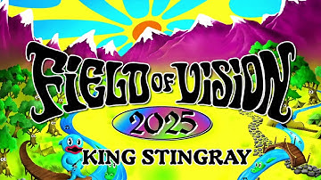 King Gizzard Presents Field of Vision 2025 - King Stingray