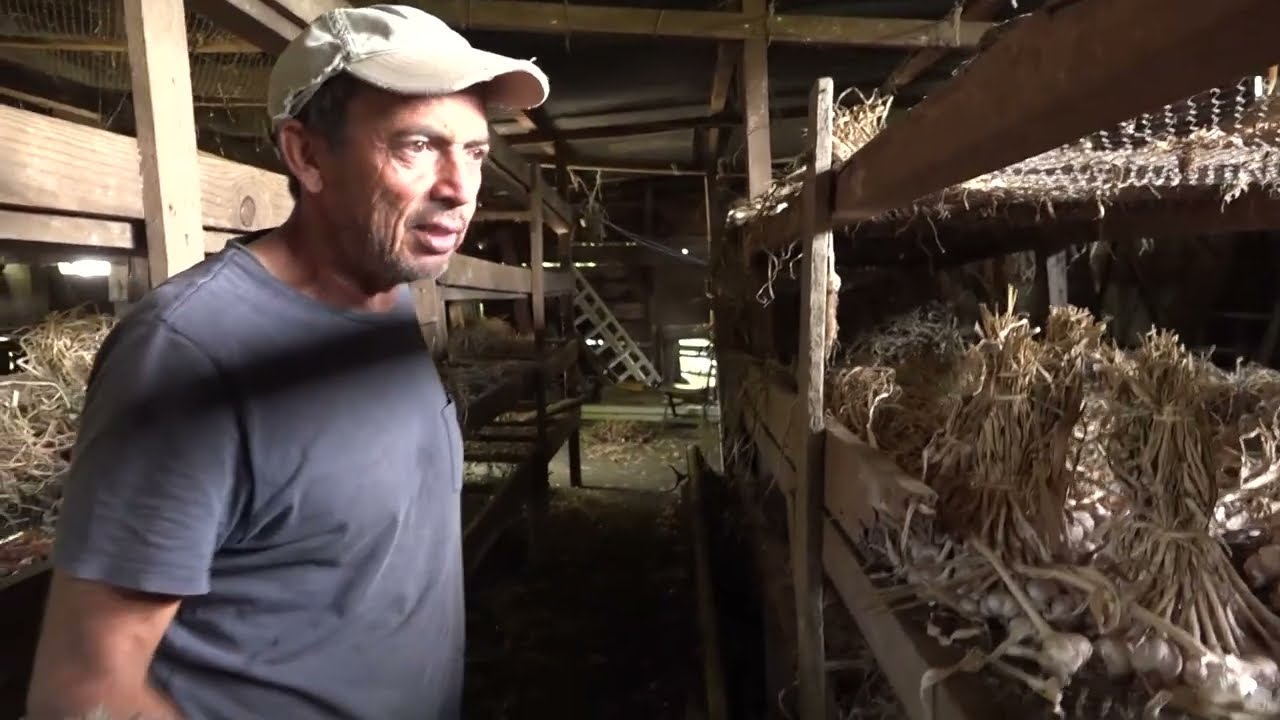 Cultiv' à nou - Diversifier pour mieux produire