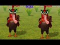 “¡Pío, Muu y Quiquiriquí!” (Chirp, Moo, and Cock-a-doodle-doo!)
