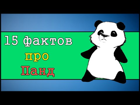 15 фактов про панд