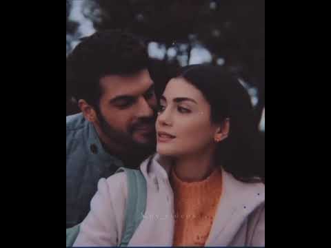 هتلك شي بوسة زتا حالات واتس أب وأنستغرام