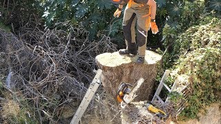 Tree work fail  -  How not to cut a tree compilation
