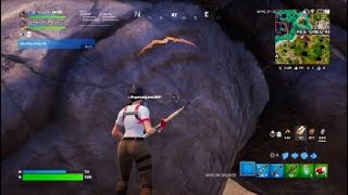 Fortnite bug