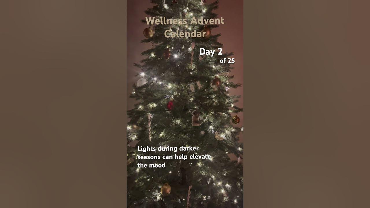 Day 2: Adding more lights can help with the winter blues 🎄✨#adventcalendar #wellbeing