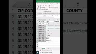 Geography Data from Zip Codes in Excel?🔥 #shortsfeed screenshot 2