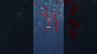 The Marshall Islands Nuclear Tests