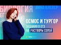 Осмос и тургор. Задания в ЕГЭ на растворы солей. | БИОЛОГИЯ ЕГЭ | Лина Клевер