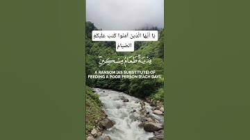 سورة البقرة 📖 يَا أَيُّهَا الَّذِينَ آمَنُوا كُتِبَ #سورة_البقرة #قرآن #تلاوة #قرآن_كريم #Quran