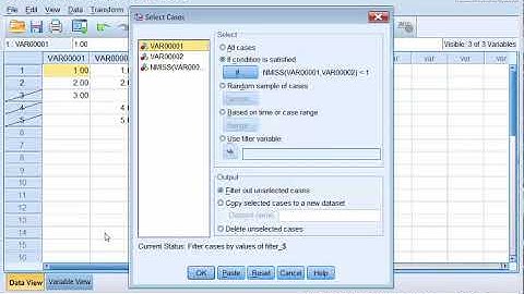 SPSS - Remove Missing Values