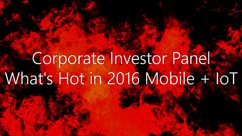 Corporate Investor Panel What's Hot in 2016 Mobile...