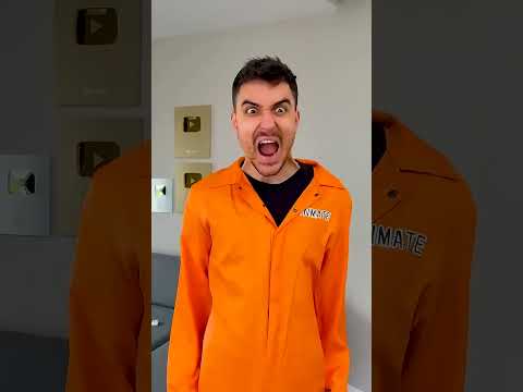 CRAZY CAT 😂 #shorts