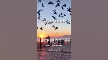 🕊لا يتخذ المؤمنون الكافرين أولياء من دون المؤمنين سورة ال عمران بصوت حمزة بوديب#تلاوة_خاشعة#الله