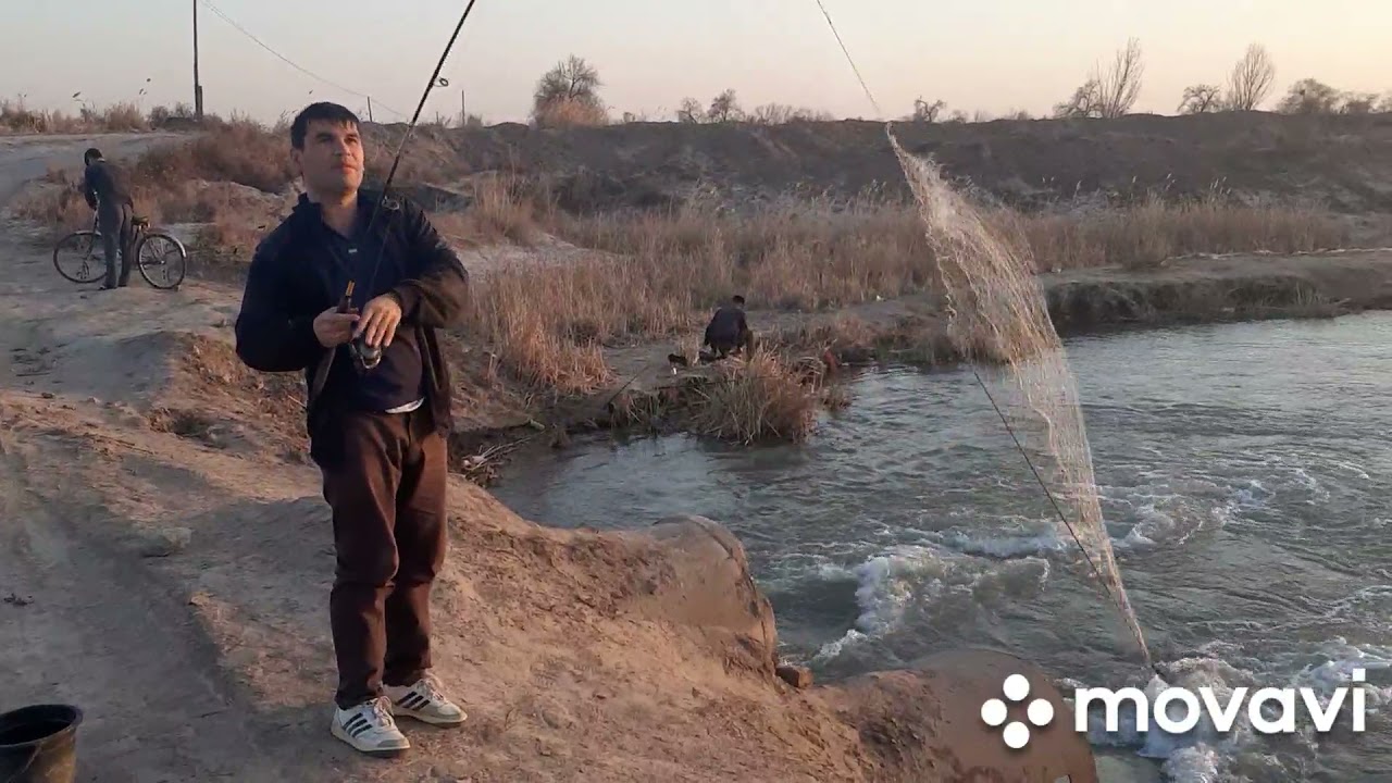 Yosh oriq jinsiy aloqa Belladonna ning onlayn chuqur tomogiga otish