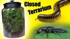 life in a jar youtube