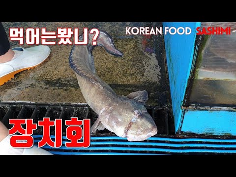 인생 첫 경험 &rsquo;장치회&rsquo; 먹어는 봤니? in 속초동명항 #Koreanfood #Monsterfish #Sashimi