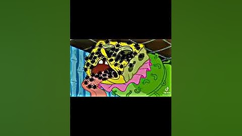 SpongeBob gak takut napa ya 😱