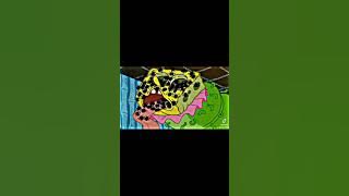 SpongeBob gak takut napa ya 😱