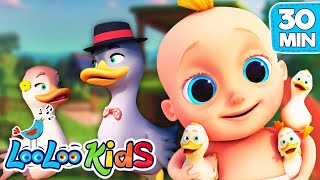 🦢 Goosey Gander and Other Fun Rhymes - 30-Min LooLoo Kids Compilation 🎶