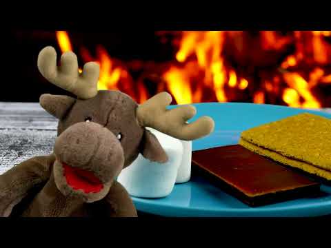Let's Make S'mores! | Easy Songs for Kids