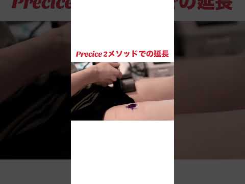 Precice 2法による延長