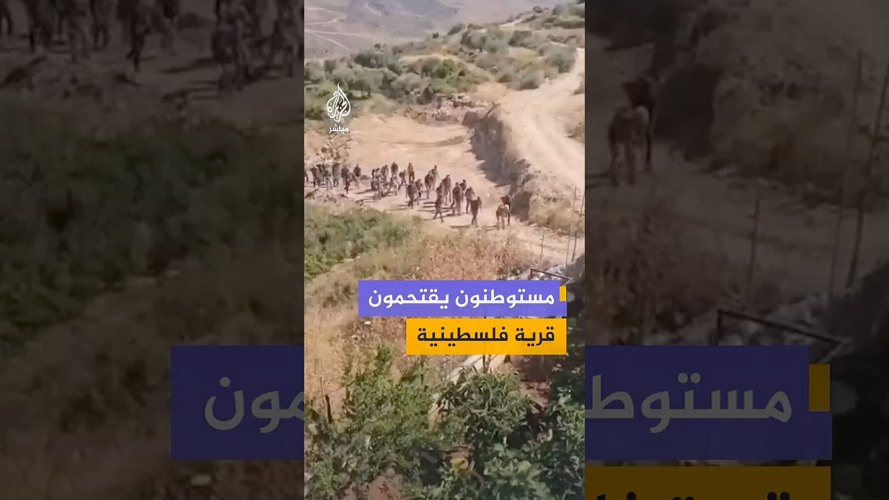 مستوطنون يقتحمون أراضي قرية عموريا جنوبي نابلس بالضفة الغربية