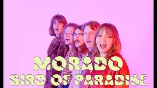 MORADO - Bird Of Paradise (Official Videoclip)