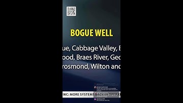 Sitting of the House of Representatives || November 25, 2025 📱