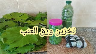 أفضل 3 طرق لتخزين ورق العنب ️ . يلا استغلي الموسم وخزني لبيتك وأولادك 