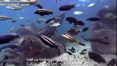 تلاوة مبكيه للشيخ ناصر القطامي {وما قدروا الله حق قدره}