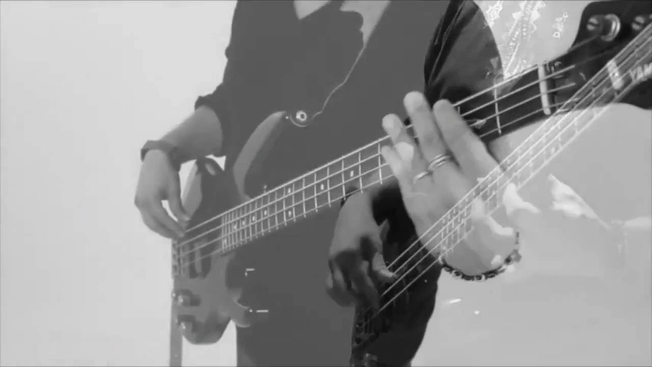 Lean On Major Lazer   Dj Snake BASS COVER