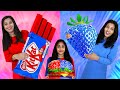 Red vs blue food challenge   pullothi