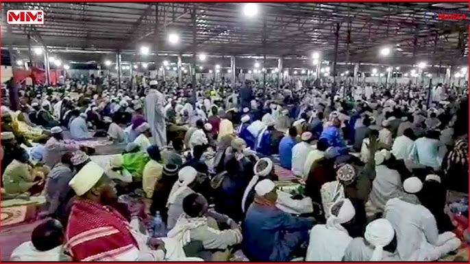 Vetnamlik ayolning mushuki va qinining fotosuratlari