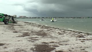 Dunedin red tide