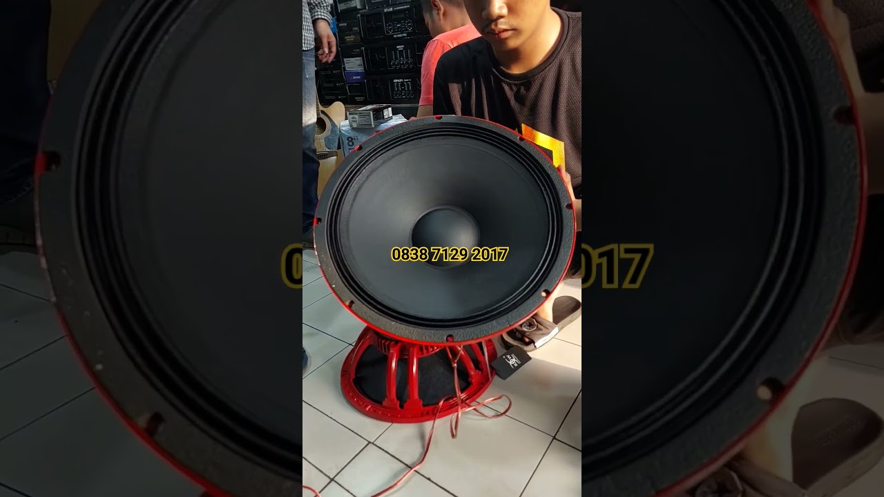 Speaker RDW 15LS005 