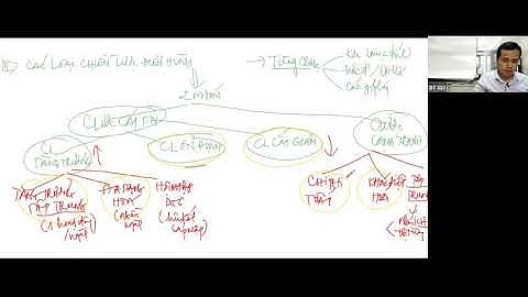 4.3. Những loại chiến lược điển hình (CHƯƠNG 4 QTKD)